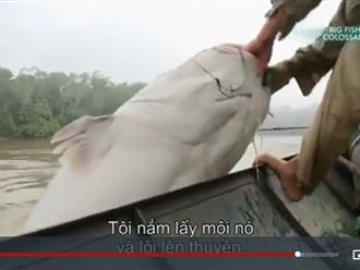 Mãn nhãn clip người đàn ông câu được cá trê khổng lồ nặng 200kg 
